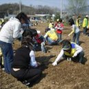 송능2리 이미지