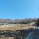 홍천목장 이미지