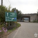 주월리 Daum카페