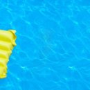 솔레펜션 이미지