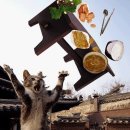 쁜이네곳간 이미지