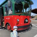 정임목장 | 양떼목장 다녀온 일상 기타 등등