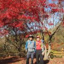 절고개공원 이미지