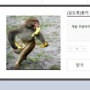 싸이버피시방 이미지