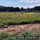 양사면-4 이미지