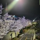 진한국(진짜한우국밥) 네이버블로그