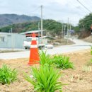 카페공원앞 이미지