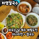 여자 셋이 먹고 감탄한 미나리전 ✨비오는 날 도민이 찾은 제주 애월 맛집 하영칼국수 재방문 솔직후기
