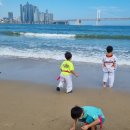 경희대 가온 태권도장 이미지