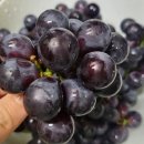 아리랑야채과일 이미지