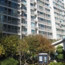 강서구-44 이미지