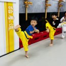 부모사랑태권도 이미지