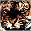 Eye Of The Tiger - Survivor / 1982 이미지