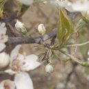 창연농장 이미지