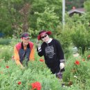 보리원농장 이미지