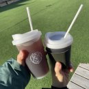 아이조아펫파크 대구점 이미지