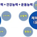 바른자세 몸펴기 운동 이미지
