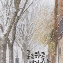 무궁화 꽃이 피었습 이미지