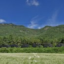 변산농장2 이미지