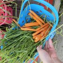 남해목장 이미지