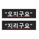 오지다 중앙일보