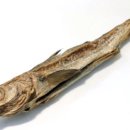 서울북어전문 이미지