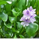 대우메디칼 이미지