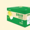 청정절임 티스토리