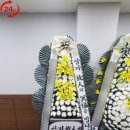 부산광역시의료원 네이버블로그