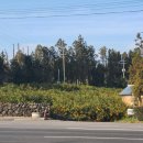 삼일산장 이미지