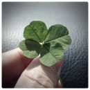 에스유컴퍼니 이미지