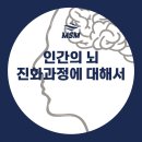 셀엠에스엠 | 인류의 뇌, 진화 과정 / 우리의 뇌는 작아졌다?