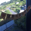 무민가랜드와 함께 한 남해 신혼여행♥