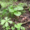 월학명당산세상협동조합 이미지