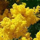 선유도해수욕장 이미지