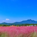 청솔농원 이미지