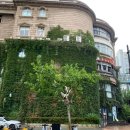 꽃집 릴리안 | In shanghi 🩶🪡❤️‍🩹