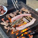 영카랜드 | 24.08.05 - 11 (8월 둘째 주) #109