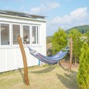 선흘하루 이미지