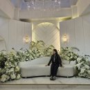 포항시청사 청사건물 | 26년 하반기 대구 웨딩홀투어 후기 웨딩메르디앙 장단점