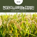현대 라이스 위탁 영농조합법인 이미지
