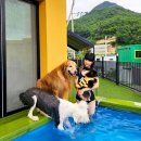 멍펜션8 이미지