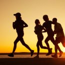 파주출판단지 근린공원(2) 이미지