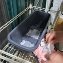 현대종묘농약사 이미지