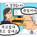 다기야 이미지