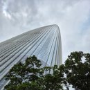 월드플라워 | 잠실 롯데호텔 월드 크리스탈볼룸 하객 후기 주차 및 플라워래핑, 코스 메뉴