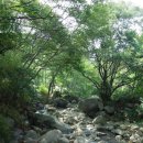 성흥사 - 1889 | 성흥사