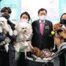 동해시-01 이미지