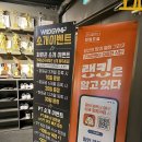 와일드짐 이미지