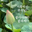 인류사에 길이 빛날 불교사상의 금자탑! 이미지